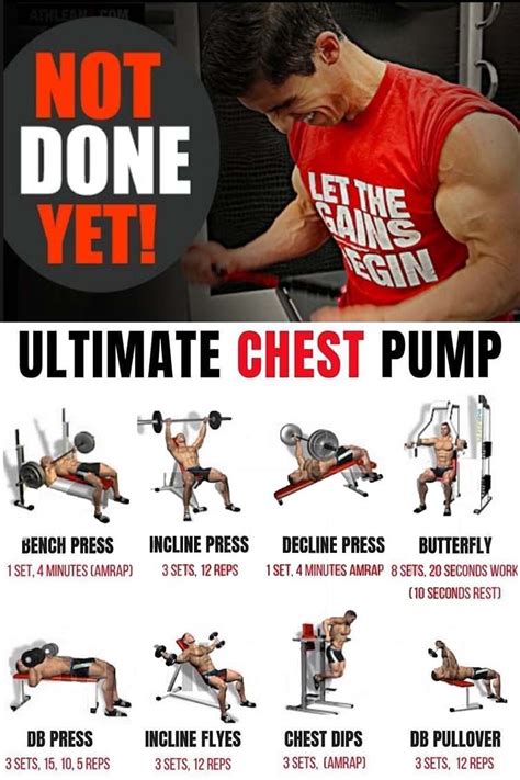 Chest Exercises Gym Workouts For Men Chest Workouts Exercise