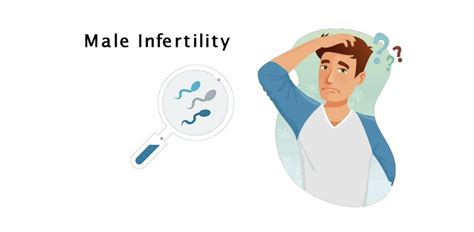 Navigating Male Infertility Causes Evaluation And Solutions Chawla