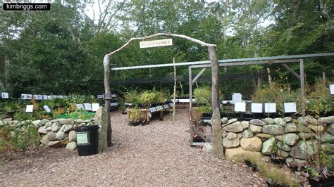 Polly Hill Arboretum Marthas Vineyard