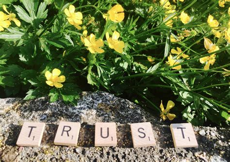 4 Ways To Increase Credibility And Build Trust — Business