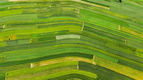 Aerial view of decorative ornaments of diverse green fields. Suloszowa, Poland 21569979 Stock ...