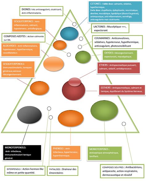 Famille chimique présentent dans les huiles essentielles