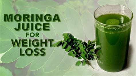 Moringa Juice How To Make Healthy Moringa Juice