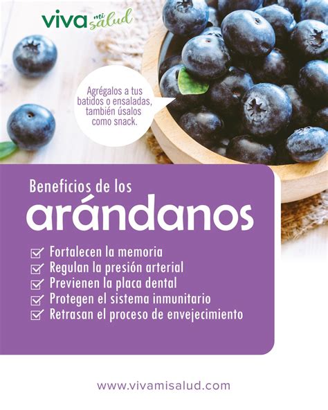 Arándanos pequeños frutos con grandes beneficios Frutas y verduras