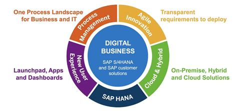 What Is Sap Solution And How To Get The Best Sap Solution For Your