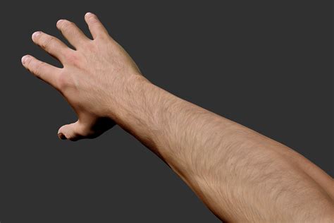 D Realistic Male Arm Hand Model Turbosquid