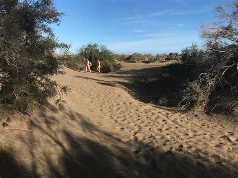 Outage As Treasure Hunters Dig Up Protected Sand Dune After Influencers