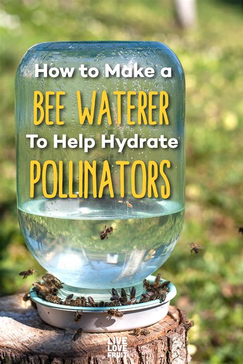 How To Make A Bee Waterer For Your Garden Live Love Fruit