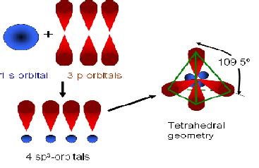 Why does the sp orbital look spherical while the sp^3 orbital is kinda dumbbell-shaped ...