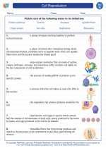 Cellular Reproduction Worksheet Answer Key