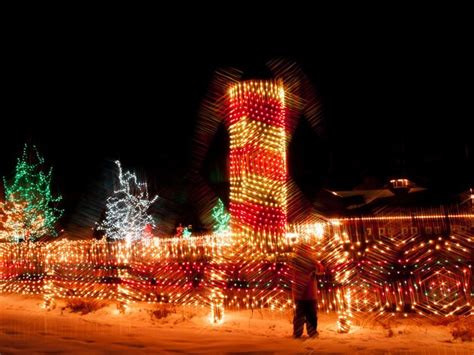 Premium Photo | Trail of lights at denver botanical gardens at chatfield.