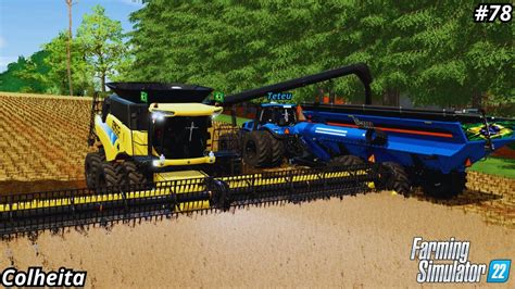 Colheita Da Canola Fazenda Sucesso Farming Simulator 22 78