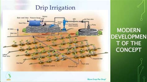 Bamboo Drip Irrigation