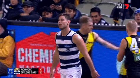 Geelong Cats GIF by AFL - Find & Share on GIPHY