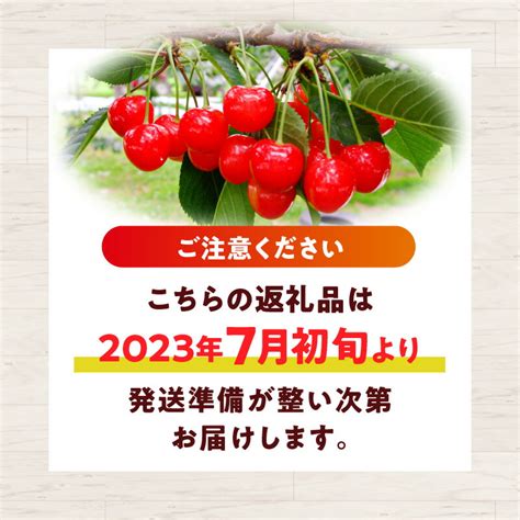 【楽天市場】【ふるさと納税】【先行販売】 余市町の恵み 佐藤錦 1kg 2023年7月初旬発送分 北海道 余市 余市町農業協同組合 フルーツ