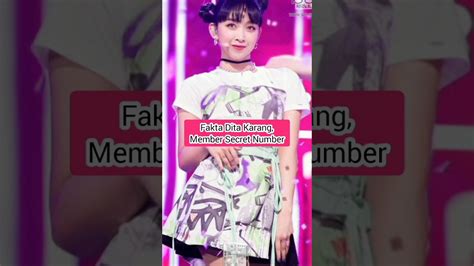 Fakta Dita Karang Member Secret Number Shorts Ditakarang Korea