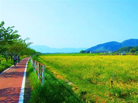 びわ湖 さざなみ街道 浜大津～近江八幡 サイクリング（2） チャリンコ逍遥