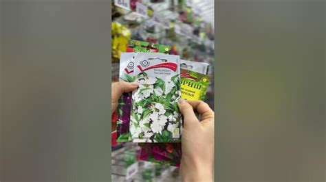 Шок😱распродажа однолетников в Усадьба-Семена🌸семена по выгодным ценам ...