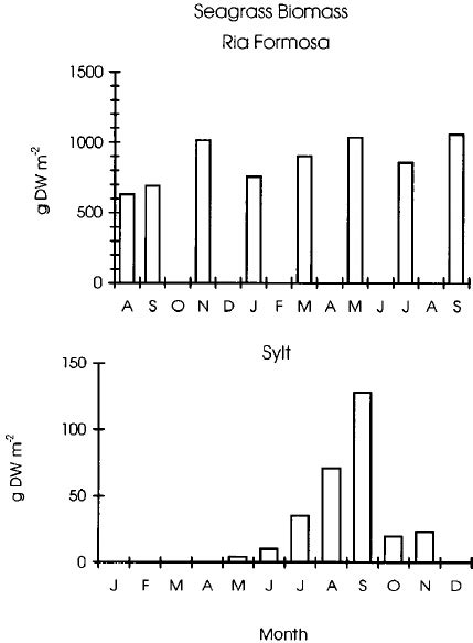 Annual Cycle Of Above Ground Biomass G Dry Weight M − 2 Of Zostera