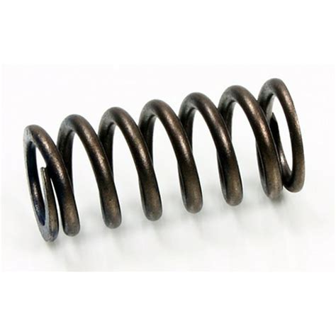 Psychic Intake Valve Spring