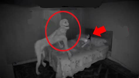 Penampakan Hantu Terjelas Dan Seram Scary Videos Youtube