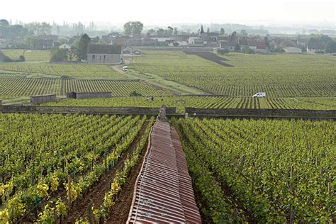 Bienvenues Bâtard Montrachet 1984 Domaine Leflaive 3 BT 100 Years