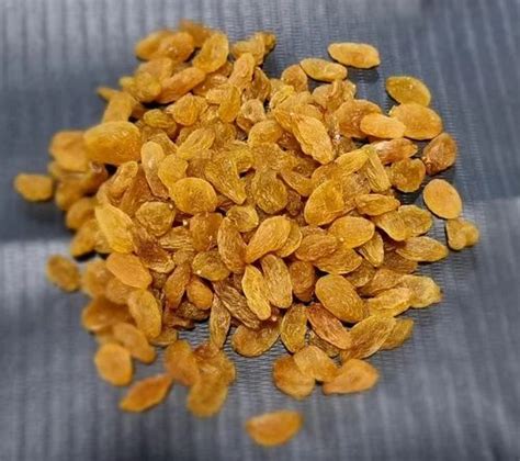 Dried Golden Raisins At Rs Kg Dried Raisin In Bareilly Id