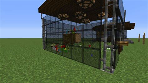 Parrot Cages Ideas Minecraft Amino