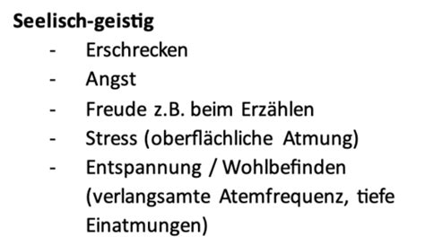 B Atmung Karteikarten Quizlet