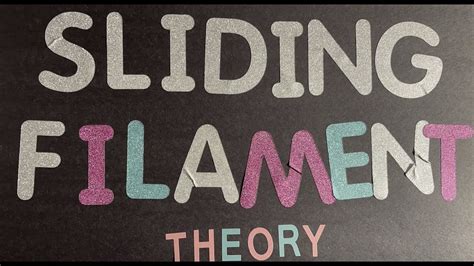 Sliding Filament Theory Stop Motion Maggie Hansen Youtube