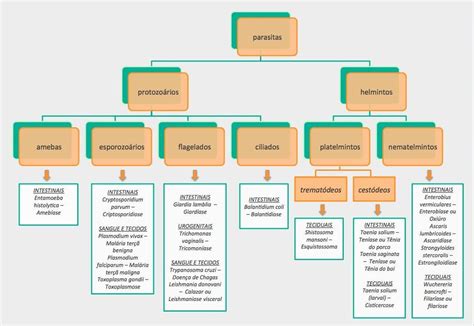 A Parasitologia Estuda Os Parasitas Os Hospedeiros E A Rela O Entre