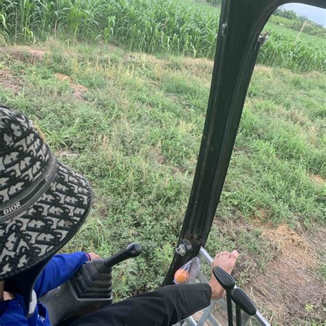 Stream Playlist Nhạc Trung Hot Tiktok Tháp rơi tự do Đáy Biển Sa vào nguy hiểm by Trung