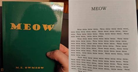 Man Buys a Novel for Cats & All the Words in the Book Are ‘Meow ...