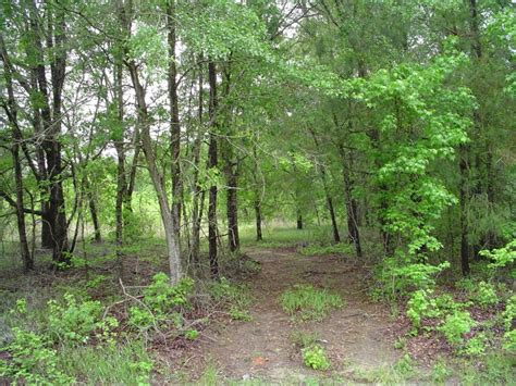 Camp Tract Hunting Land For Sale Huntinglocator