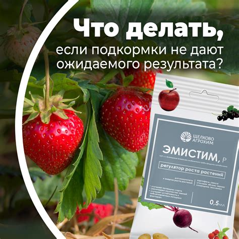 Статья: Усиливаем эффективность подкормки | Интернет-магазин для дачников