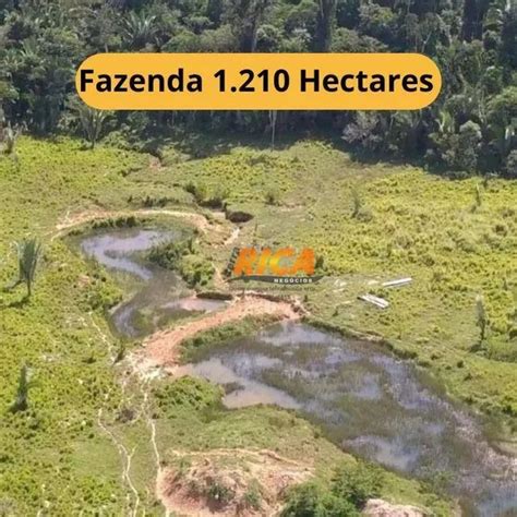 Vende Se Uma Fazenda Hectares No Distrito De Munic Pio