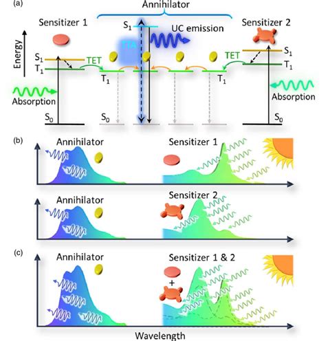 A Schematic Of Tta Uc Carried Out With Two Types Of Sensitizers Tet