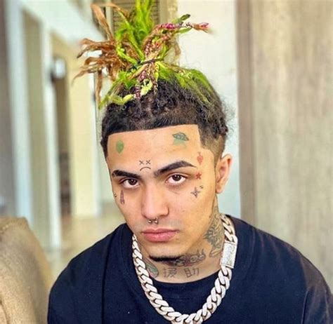 Lil Pump Wiki Biography Fanmail Career Net Worth Relationship And