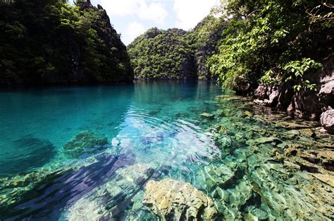 Palawan Island Philippines: One of The Most Beautiful Island in The ...