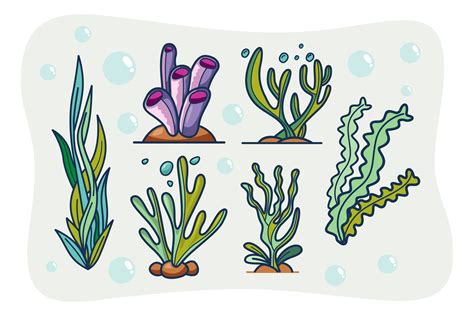 Underwater Sea Plants