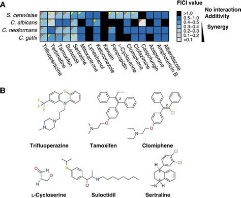 Synergistic Drug Interactions With Fluconazole A Heat Map Of Drug