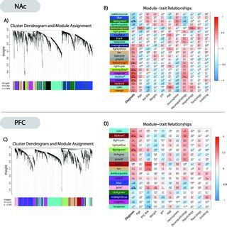 WGCNA Clustering And Module Trait Relationships A NAc Cluster