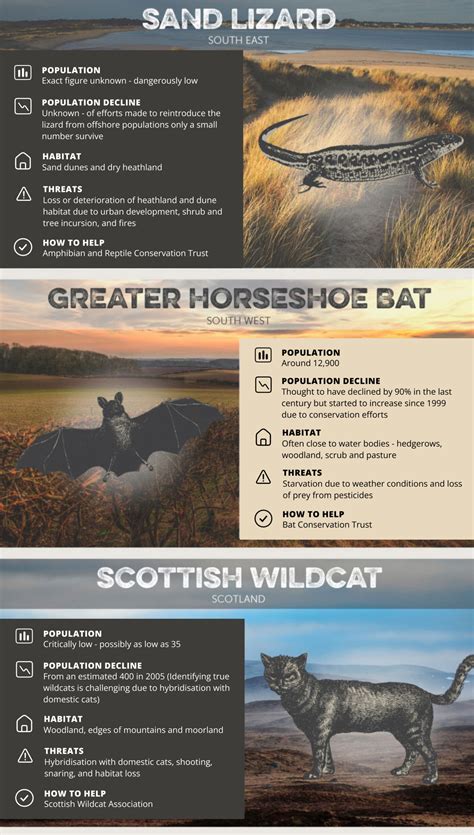 Your Local Endangered Species Guide [infographic] - Arbtech