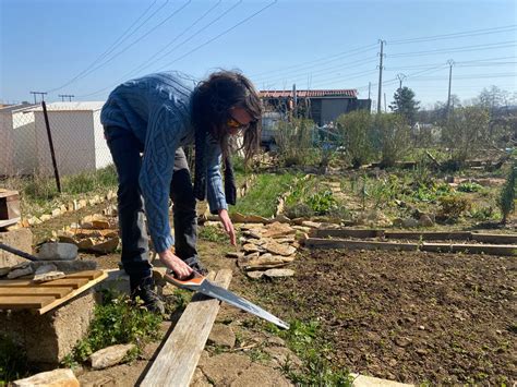 Vesoul Avec Larriv E Des Beaux Jours Les Jardins Familiaux Se