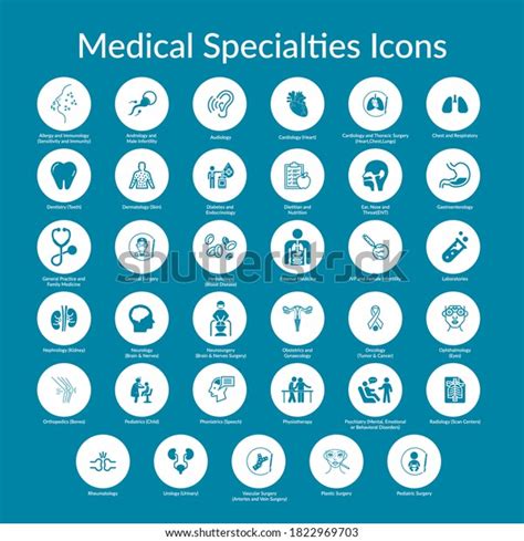 Medical Specialties Icons Stock Vectors And Vector Art Shutterstock