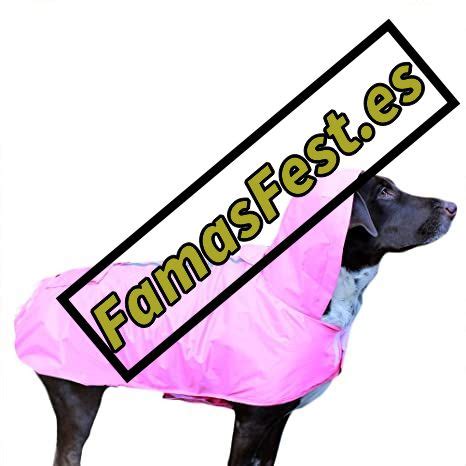 Mejores Chubasqueros Para Perros Color Rosa Agumnpa