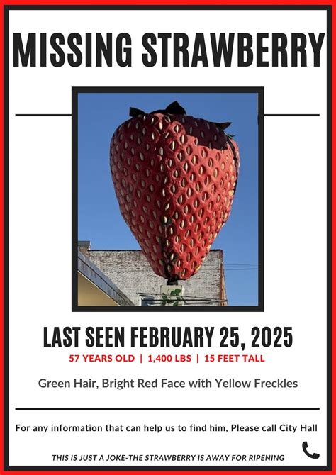 Comprehensive Guide to Funeral Homes in Strawberry Point, Iowa 25