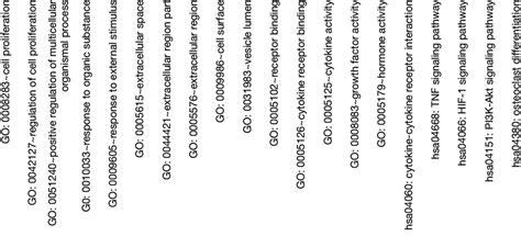 Gene Ontology And Kegg Pathway Analysis Biological Processes Cellular