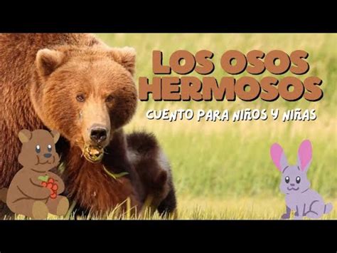 Los Osos Hermosos Cuentos Cortos Con Ense Anzas Para Ni Os Youtube