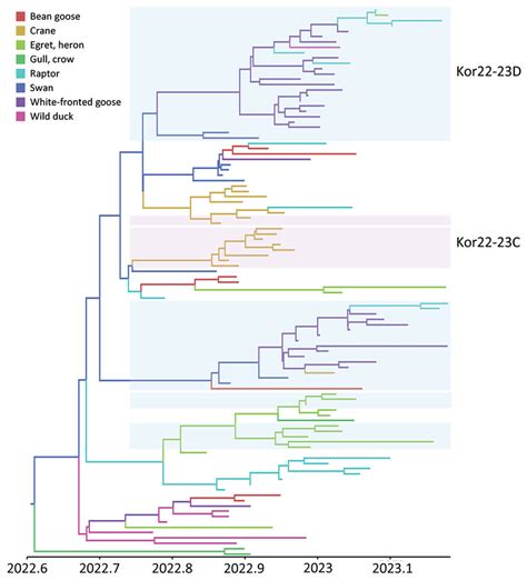 Figure Evolution And Spread Of Highly Pathogenic Avian Influenza A